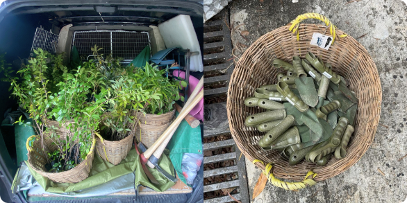 Purchase seedlings and care supplies